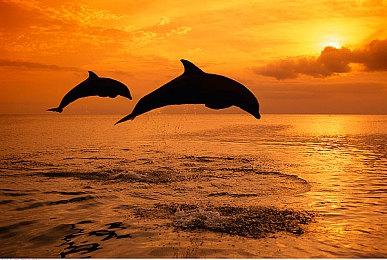 快节奏FPS游戏《Neon White》 12月13日登陆PS平台