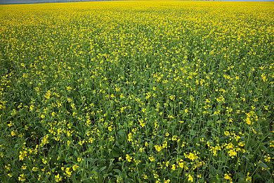 准备迎接第一赛季到来！《战地风云2042》更新#3.1上线